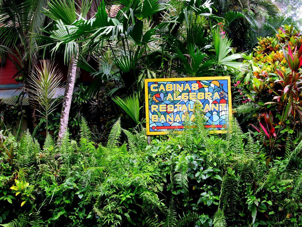 Cabinas Algebra Cahuita Eksteriør billede