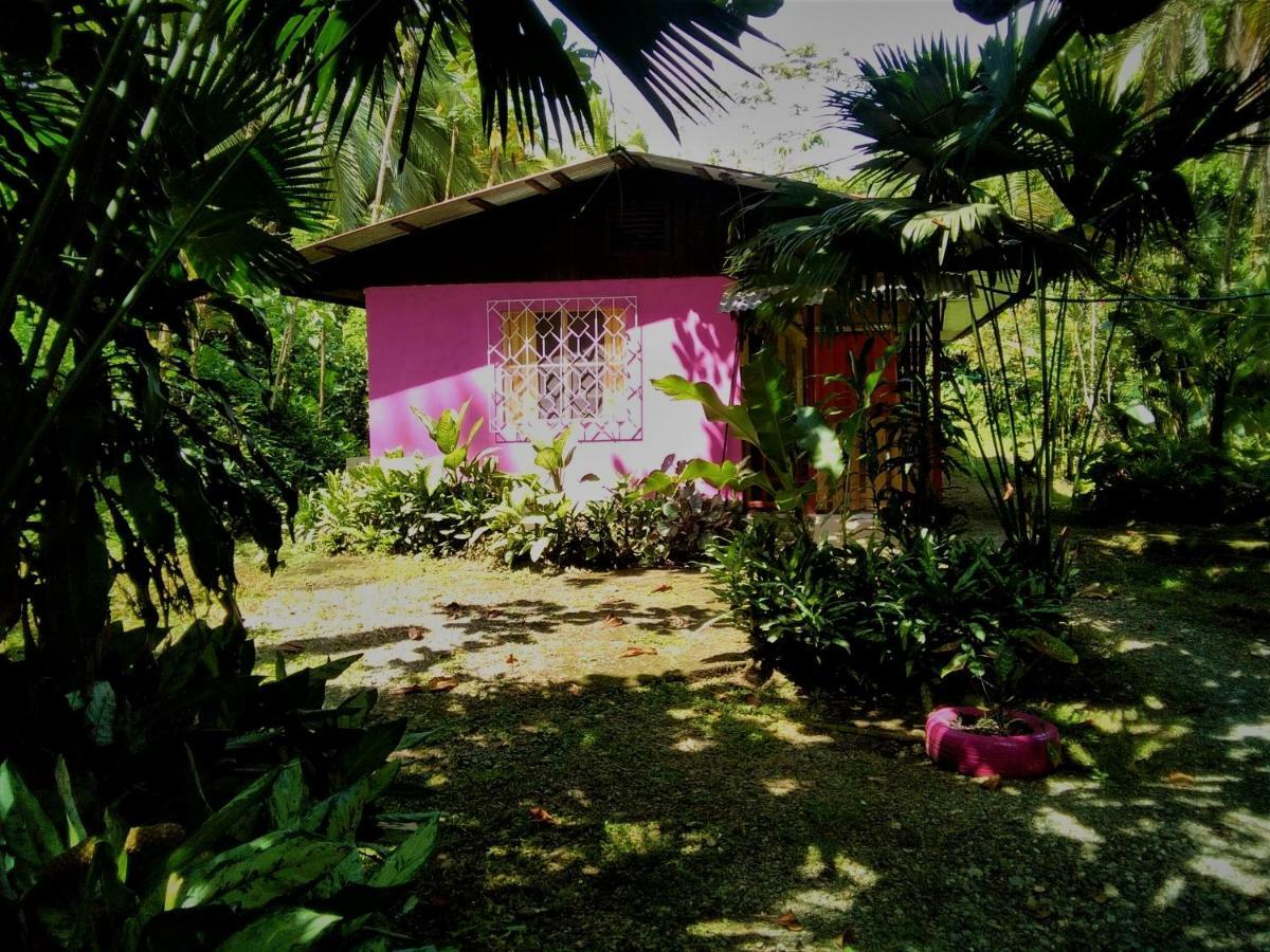 Cabinas Algebra Cahuita Eksteriør billede