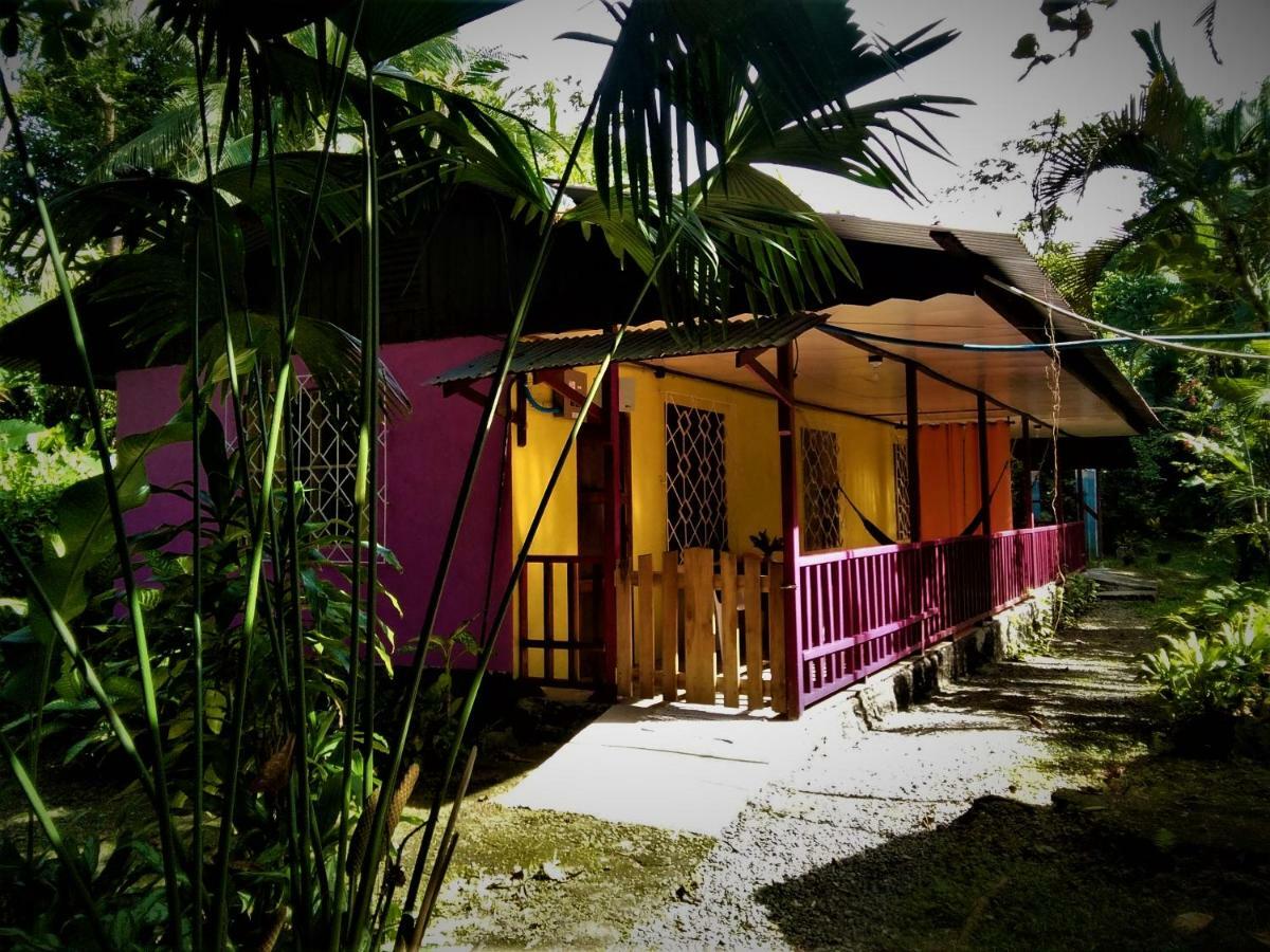 Cabinas Algebra Cahuita Eksteriør billede