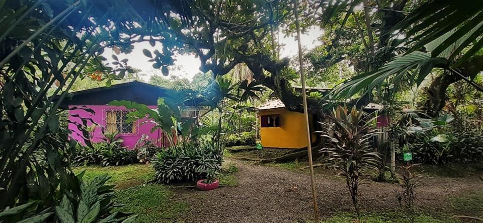 Cabinas Algebra Cahuita Eksteriør billede
